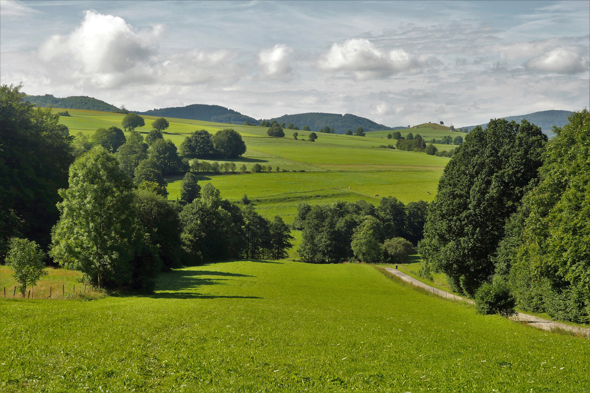 Headerimage 1